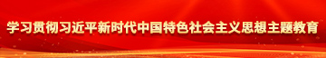 欧美老肥女日皮的视频学习贯彻习近平新时代中国特色社会主义思想主题教育